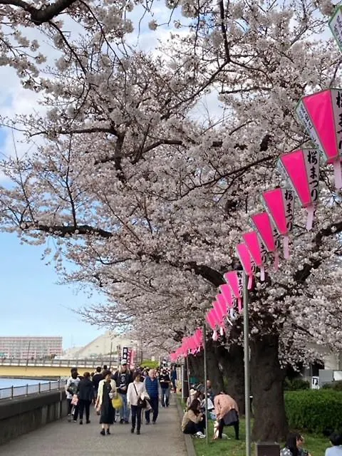 Sky Tree Inn Ⅱ（晴樹宿ⅱ） Tokyo 0*,  Japan