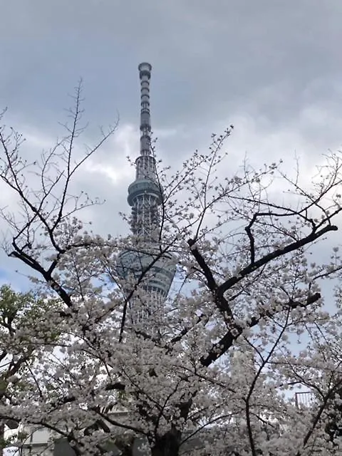 Sky Tree Inn Ⅱ（晴樹宿ⅱ） Tokyo