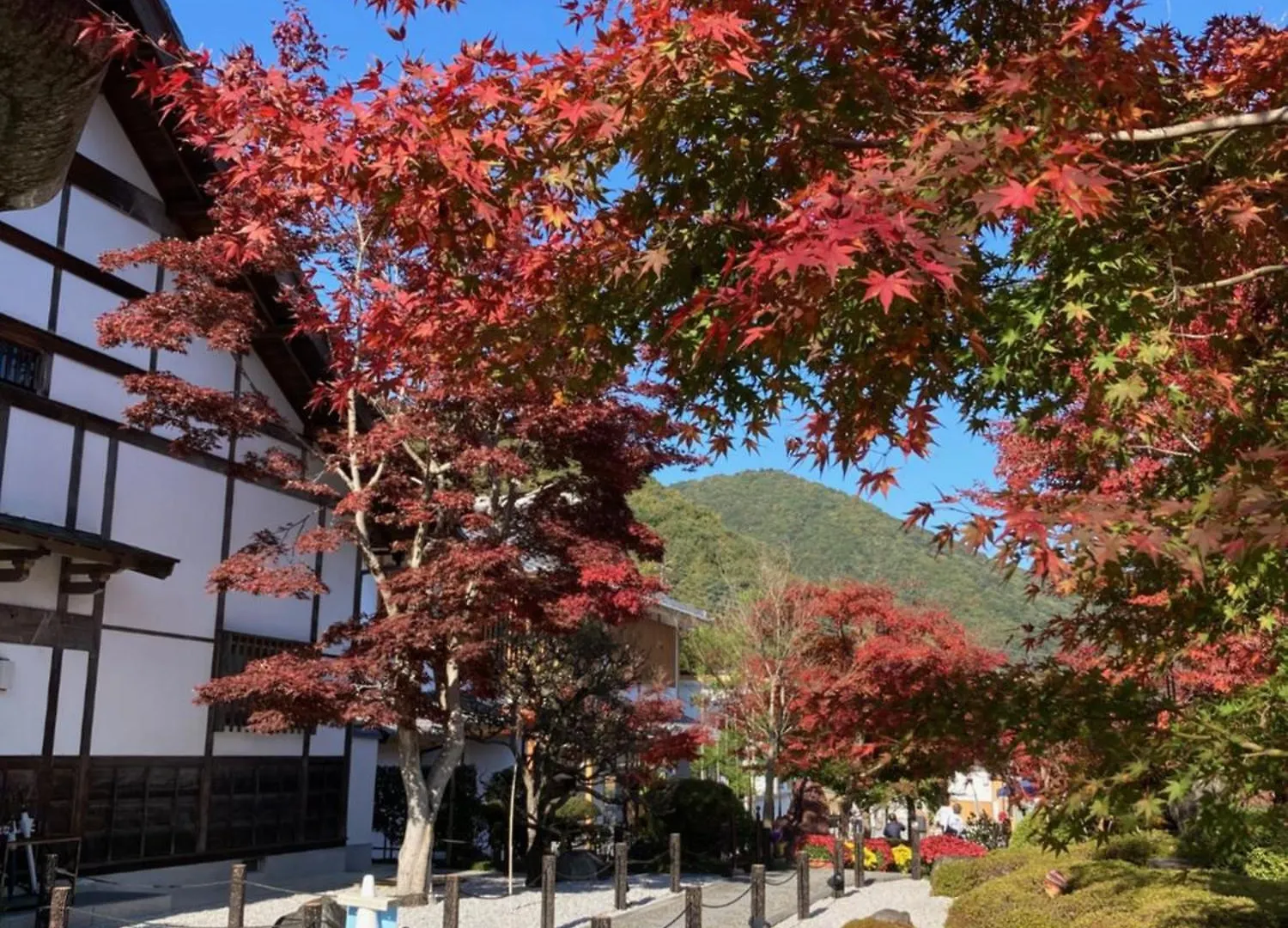 Sky Tree Inn Ⅱ（晴樹宿ⅱ） Tokyo