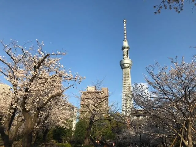 Sky Tree Inn Ⅱ（晴樹宿ⅱ） Tokyo 0*,  Japan